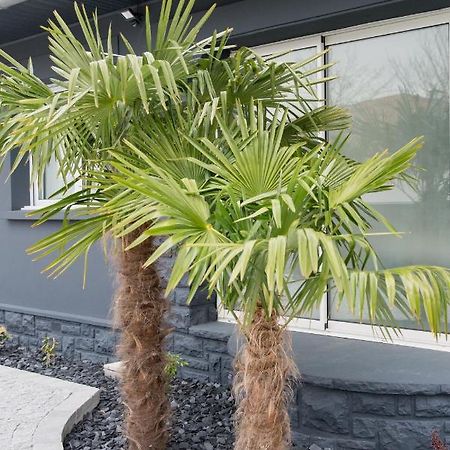 Amontarrena Villa Anglet Kültér fotó