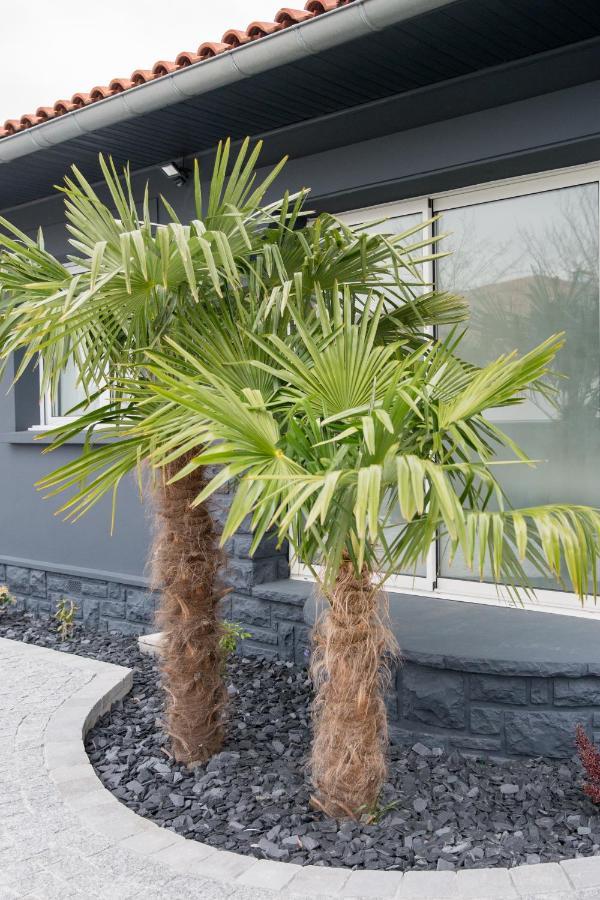 Amontarrena Villa Anglet Kültér fotó